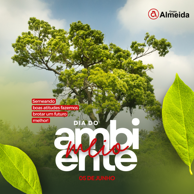 DIA DO MEIO AMBIENTE